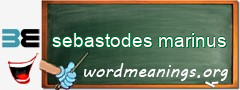 WordMeaning blackboard for sebastodes marinus